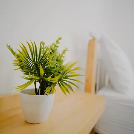 Appartement Arsi Gjirokastër