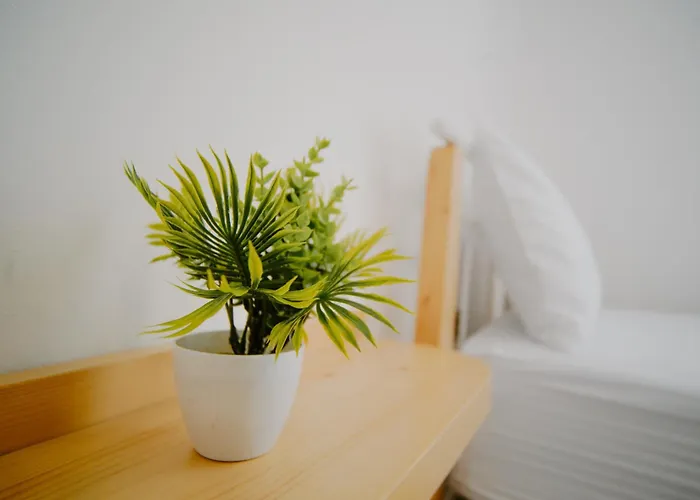 Lejlighed Arsi Gjirokastër